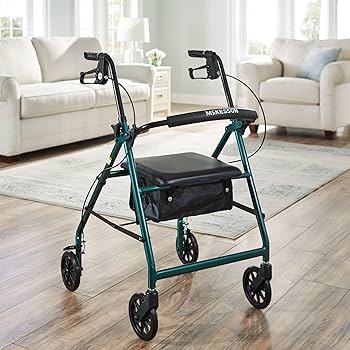 定価22万WALKCAR10kmモデル 公道OK 別売専用バッグ付 ウォーカー 安い 価格スポーツ - 定価22万WALKCAR10kmモデル 公道OK 別売